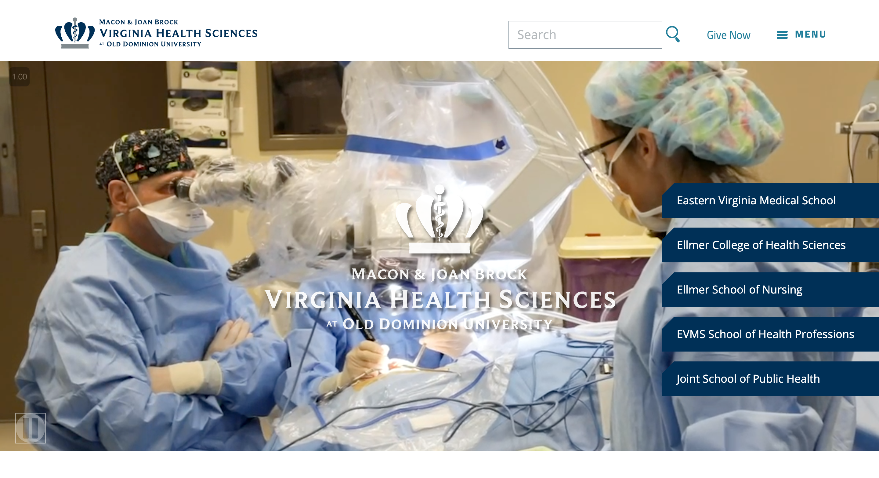 preview of EVMS website